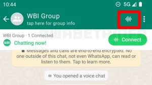 Voice Chats in Groups 5 cool new features